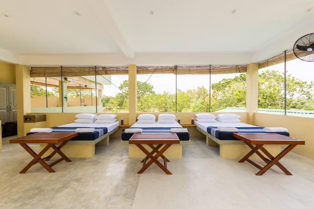 Forestville Yala Bagian luar foto