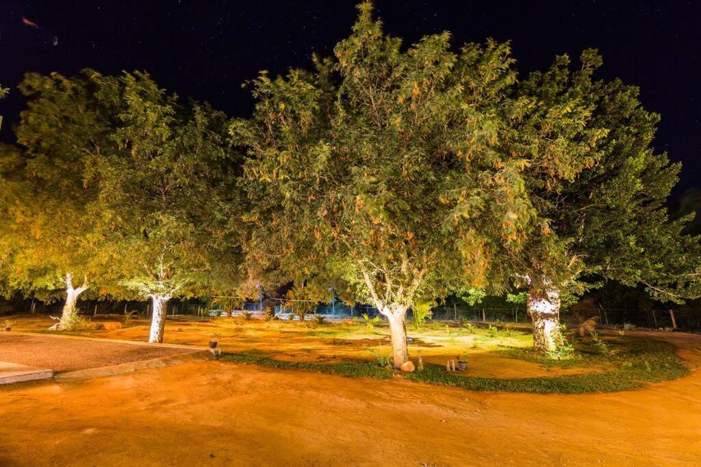Forestville Yala Bagian luar foto
