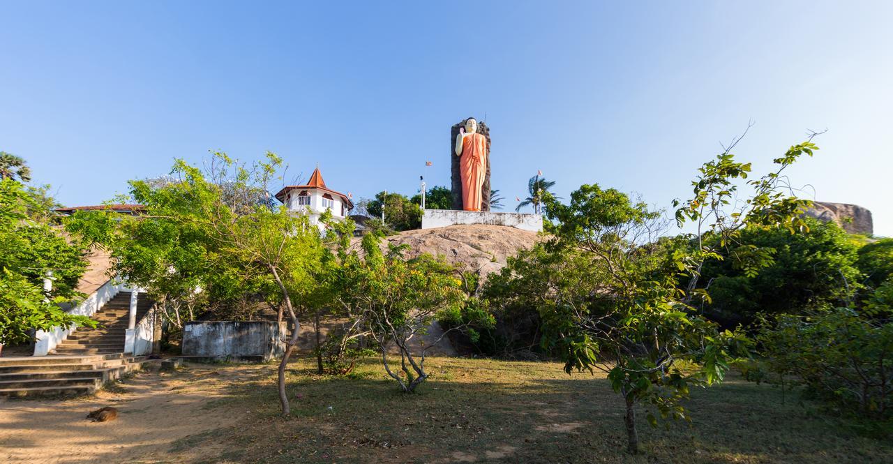 Forestville Yala Bagian luar foto
