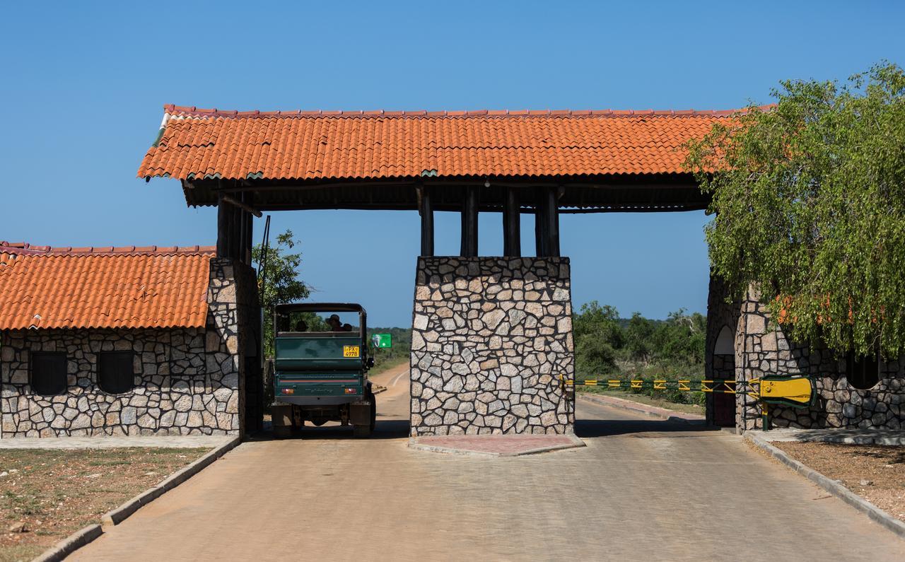 Forestville Yala Bagian luar foto