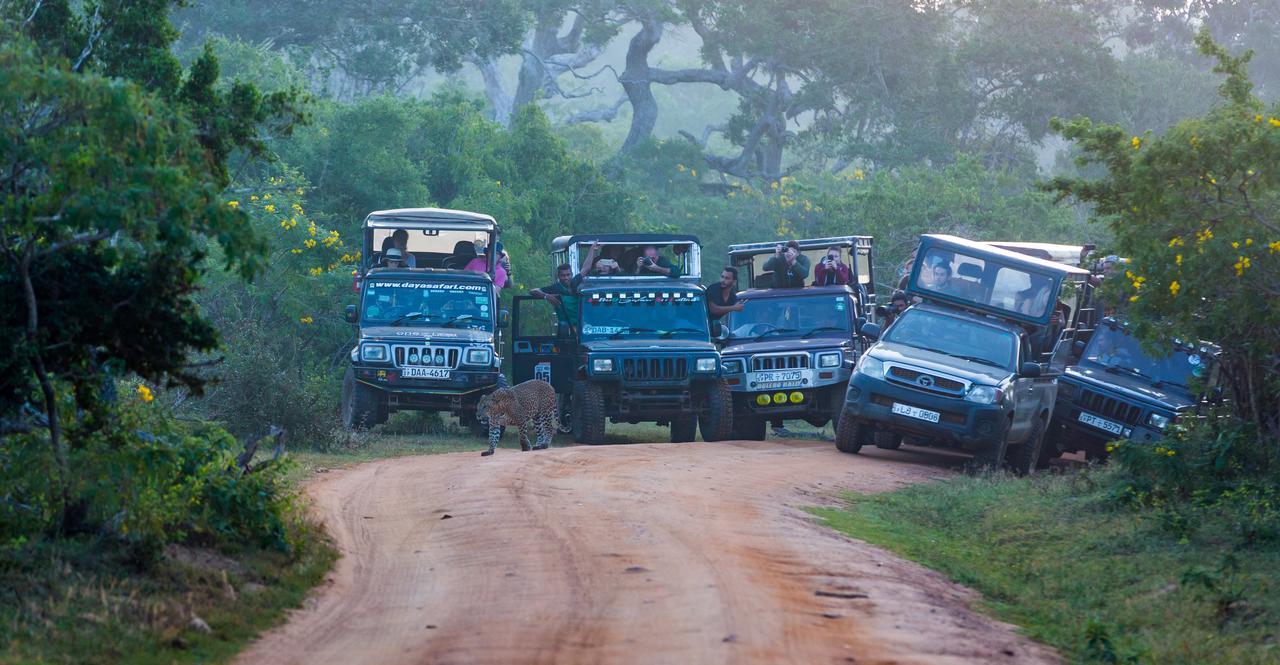 Forestville Yala Bagian luar foto