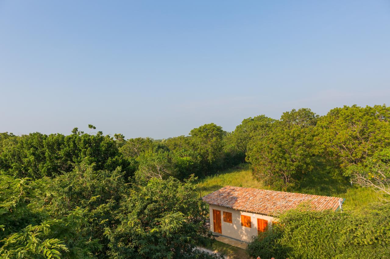 Forestville Yala Bagian luar foto